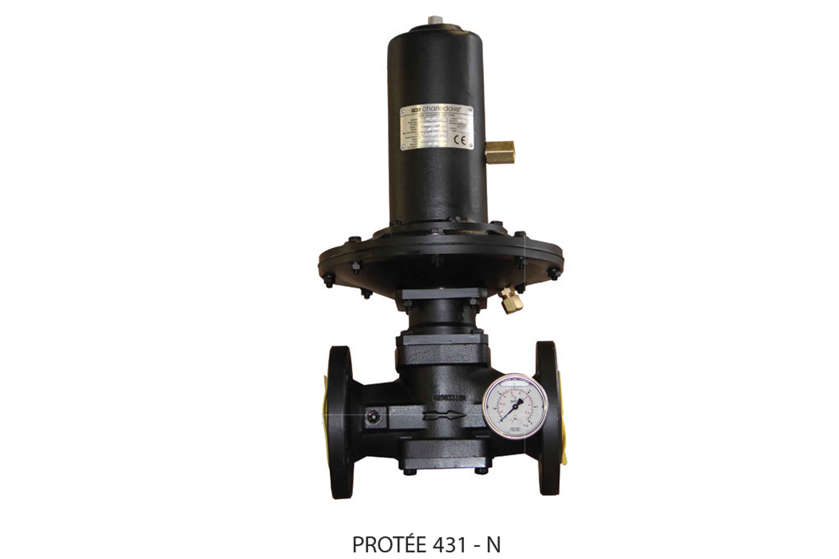 PROTÉE 431 - REGULATOR WITH BALANCED VALVE (FIRST STAGE REGULATOR) page image